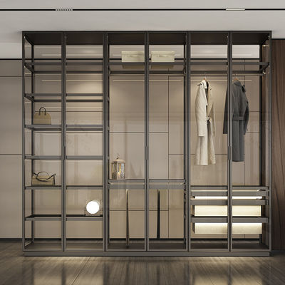 ODM Aluminium Wohnmöbel Glas Walk In Schrank
