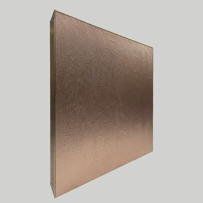 10 * 8 Anodisiertes Aluminium Modular Küchenschrank Metall Tür ODM
